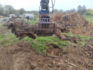 Votre Expert Terrassement et Assainissement